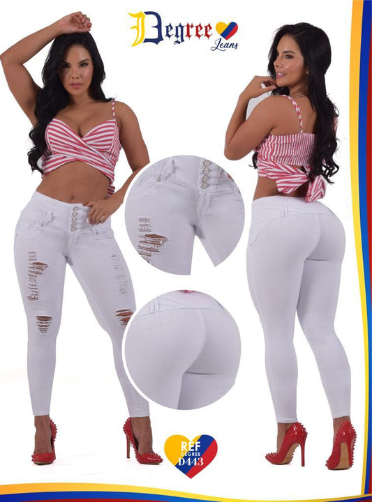 DEGREE COLLECTION-D443